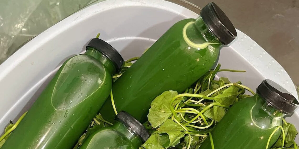 Uống nước rau má rất tốt nhưng đại kỵ với 3 nhóm người uong nuoc rau ma rat tot nhung dai ky voi 3 nhom nguoi 1542.jpg