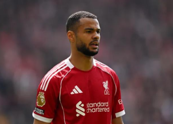 Liverpool được khuyên nên bán Cody Gakpo 3 2307170439.png