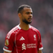 Liverpool được khuyên nên bán Cody Gakpo 3 2307170439.png