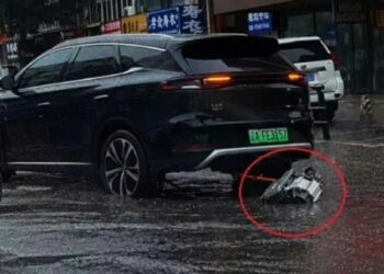 6691784173699 byd chinh thuc len tieng anhdaidien.jpg