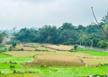 dat nhan thua ke co duoc giam tien su dung dat khi chuyen sang dat o 2837.jpg