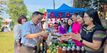 gia lai dat muc tieu tro thanh diem den hang dau mien trung tay nguyen 1035.jpg