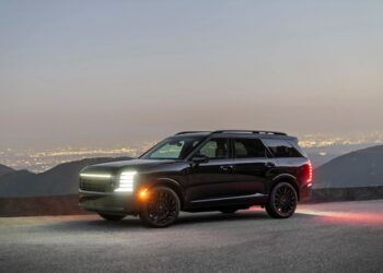 hyundai palisade 1 jpg.19821.jpeg