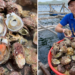 Sản vật có từ Nam ra Bắc, giá chỉ vài chục ngàn, ăn ngọt ngon không kém tôm cua kg an ngot ngon khong kem tom cua 2907.png