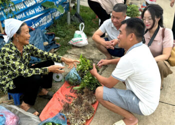 khu cho cach ha noi 120km ban nhieu dac san doc la co thuc qua gia chi 2 nghin 1131.jpg