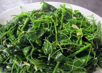loai rau dac san co mui la nhung la vi thuoc ho tro tieu hoa hieu qua 740.jpg