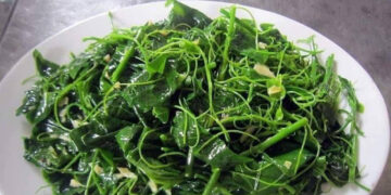 loai rau dac san co mui la nhung la vi thuoc ho tro tieu hoa hieu qua 740.jpg