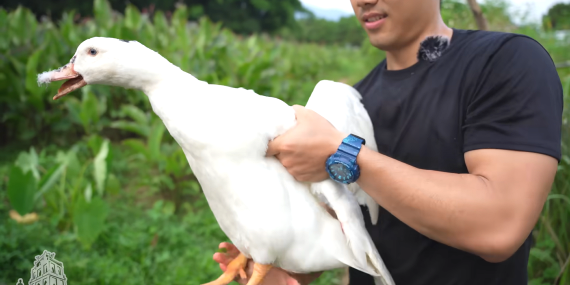 mon nua vit nua ngan co ten goi la lung la dac san cua dia phuong nao 1390.png