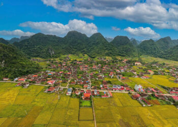 ngoi lang mien bac nao co hon 400 ngoi nha quay 1 huong 1844.jpg