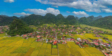 ngoi lang mien bac nao co hon 400 ngoi nha quay 1 huong 1844.jpg