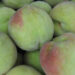 qua dao giau vitamin c nhung bo phan nay tuyet doi khong an 2429.jpeg