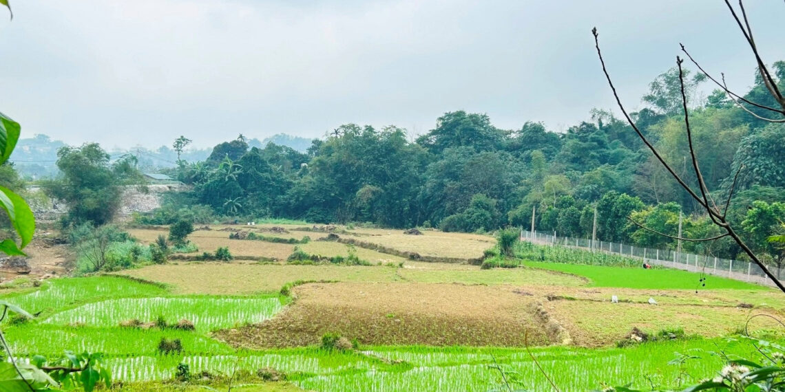 Thừa kế đất của người có công, con có được giảm tiền sử dụng đất? thua ke dat cua nguoi co cong con co duoc giam tien su dung dat 1180.jpg