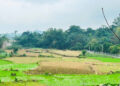 thua ke dat cua nguoi co cong con co duoc giam tien su dung dat 1180.jpg