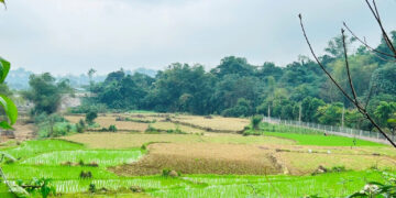 thua ke dat cua nguoi co cong con co duoc giam tien su dung dat 1180.jpg