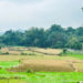 thua ke dat cua nguoi co cong con co duoc giam tien su dung dat 1180.jpg