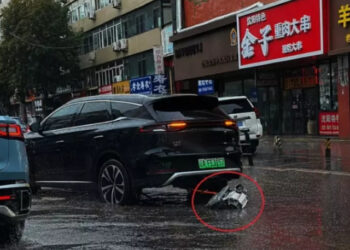 xehay byd tang 150726 4.jpg