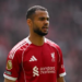 Tottenham nên chiêu mộ Cody Gakpo thay vì Nicolas Jackson 3 0808080533.png