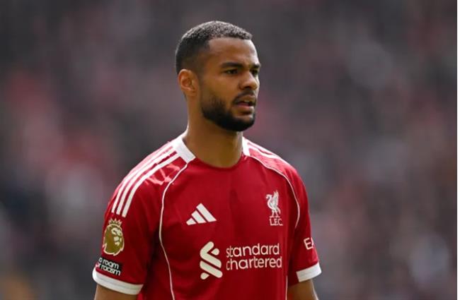 Tottenham nên chiêu mộ Cody Gakpo thay vì Nicolas Jackson 3 0808080533.png