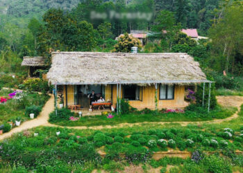 3 ban lang o tuyen quang hut khach tron nong co noi biet lap giua rung gia 3334.jpg