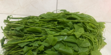 5 loai cay co ten la la vi thuoc nhieu tac dung bat ngo 855.png