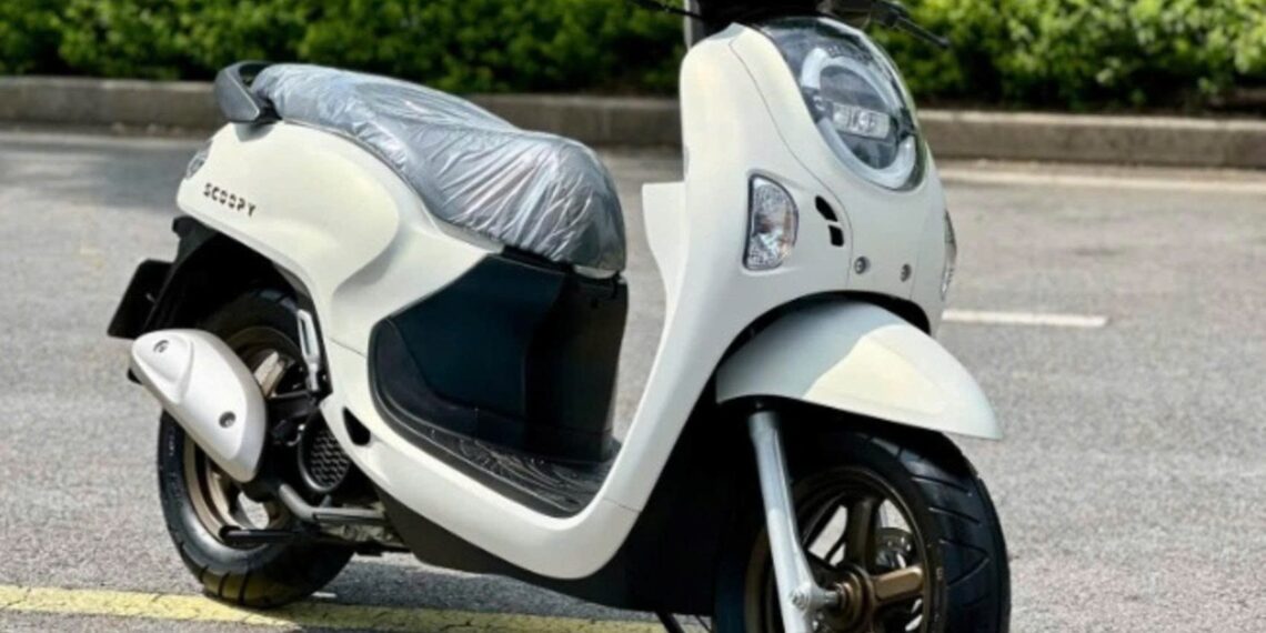 5011787192006 honda scoopy chuan bi duoc phan phoi chinh hang anhdaidien.jpg
