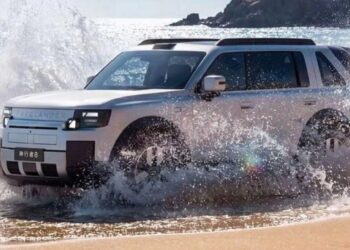 6311786284503 freelander hoi sinh anhdaidien.jpg