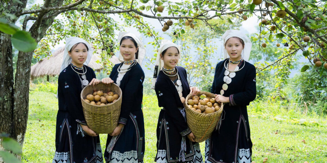 9 o mien bac hai le giua nui rung kham pha dao hoang so 2529.jpg