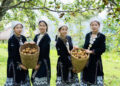 9 o mien bac hai le giua nui rung kham pha dao hoang so 2529.jpg