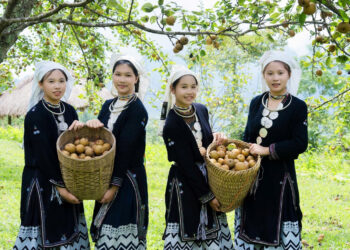 9 o mien bac hai le giua nui rung kham pha dao hoang so 2529.jpg