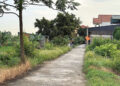 chu cu tu y xay nha tren dat nong nghiep nguoi mua lam so do dat o the nao 1240.jpg