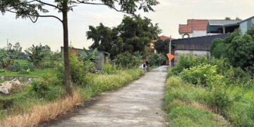 chu cu tu y xay nha tren dat nong nghiep nguoi mua lam so do dat o the nao 1240.jpg