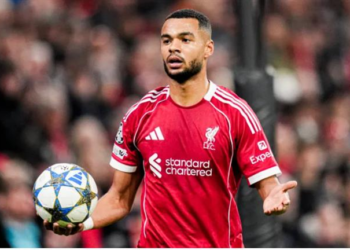 cody gakpo dua ra quyet dinh ve viec chuyen den tottenham.png