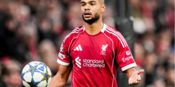 cody gakpo dua ra quyet dinh ve viec chuyen den tottenham.png