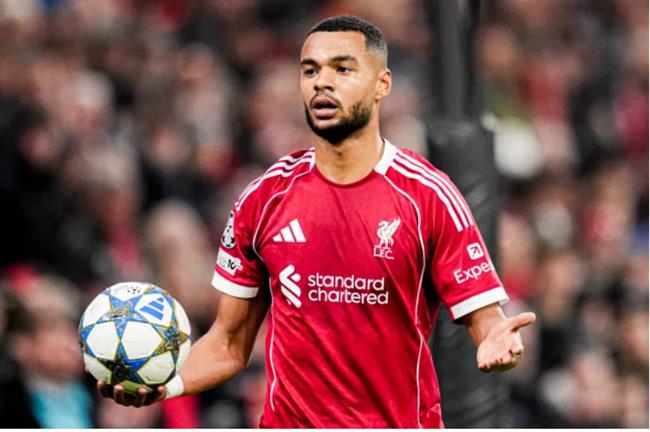 cody gakpo dua ra quyet dinh ve viec chuyen den tottenham.png