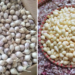 dac san nao phat trien dot bien duoc xem nhu than duoc o son la 2848.png