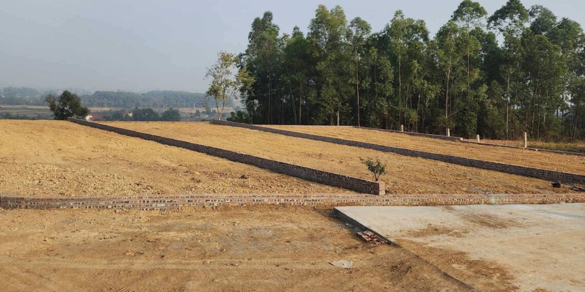 Đất đã bán gần 20 năm, chỉ có 2,5m mặt tiền có được tách thửa để sang tên? dat da ban gan 20 nam chi co 25m mat tien co duoc tach thua de sang ten 1353.jpg