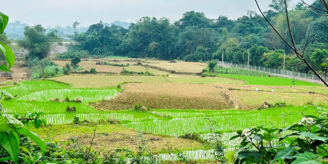 dung dat nong nghiep ket hop kinh doanh co phai nop thue phi nong nghiep 241.jpg