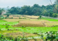 dung dat nong nghiep ket hop kinh doanh co phai nop thue phi nong nghiep 241.jpg
