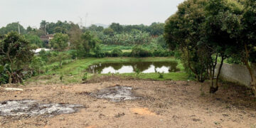 duoc chuyen 360m2 dat sang dat o nhung khong du tien nop nguoi dan can lam gi 3412.jpg