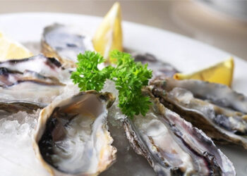 Hàu được ca ngợi giàu dinh dưỡng nhưng nên ăn ra sao? hau duoc ca ngoi giau dinh duong nhung nen an ra sao 335.jpg