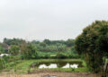 mua dat bang giay viet tay tu 2005 gio co duoc cap so do 2236.jpg