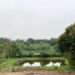 mua dat bang giay viet tay tu 2005 gio co duoc cap so do 2236.jpg