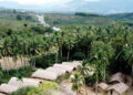 ngoi lang co 80 nha thuyen lat up giua nui rung thu hut du khach 2957.jpg
