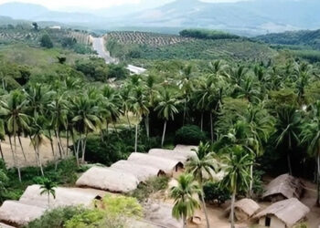 ngoi lang co 80 nha thuyen lat up giua nui rung thu hut du khach 2957.jpg