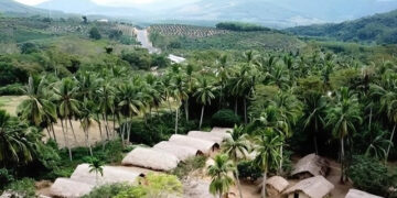 ngoi lang co 80 nha thuyen lat up giua nui rung thu hut du khach 2957.jpg
