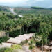 ngoi lang co 80 nha thuyen lat up giua nui rung thu hut du khach 2957.jpg