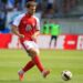 nhan dinh hallescher vs schalke 01h45 ngay 258 vuot ai leuna chemie.jpg