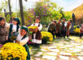 noi nao o viet nam co ngoi lang nguoi ti hon hut khach quoc te 446.jpg