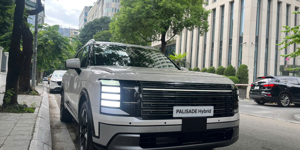 palisade jpg.20527.jpeg