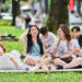 viet nam co 2 thanh pho vao top 10 am thuc duong pho ngon nhat the gioi 764.jpg